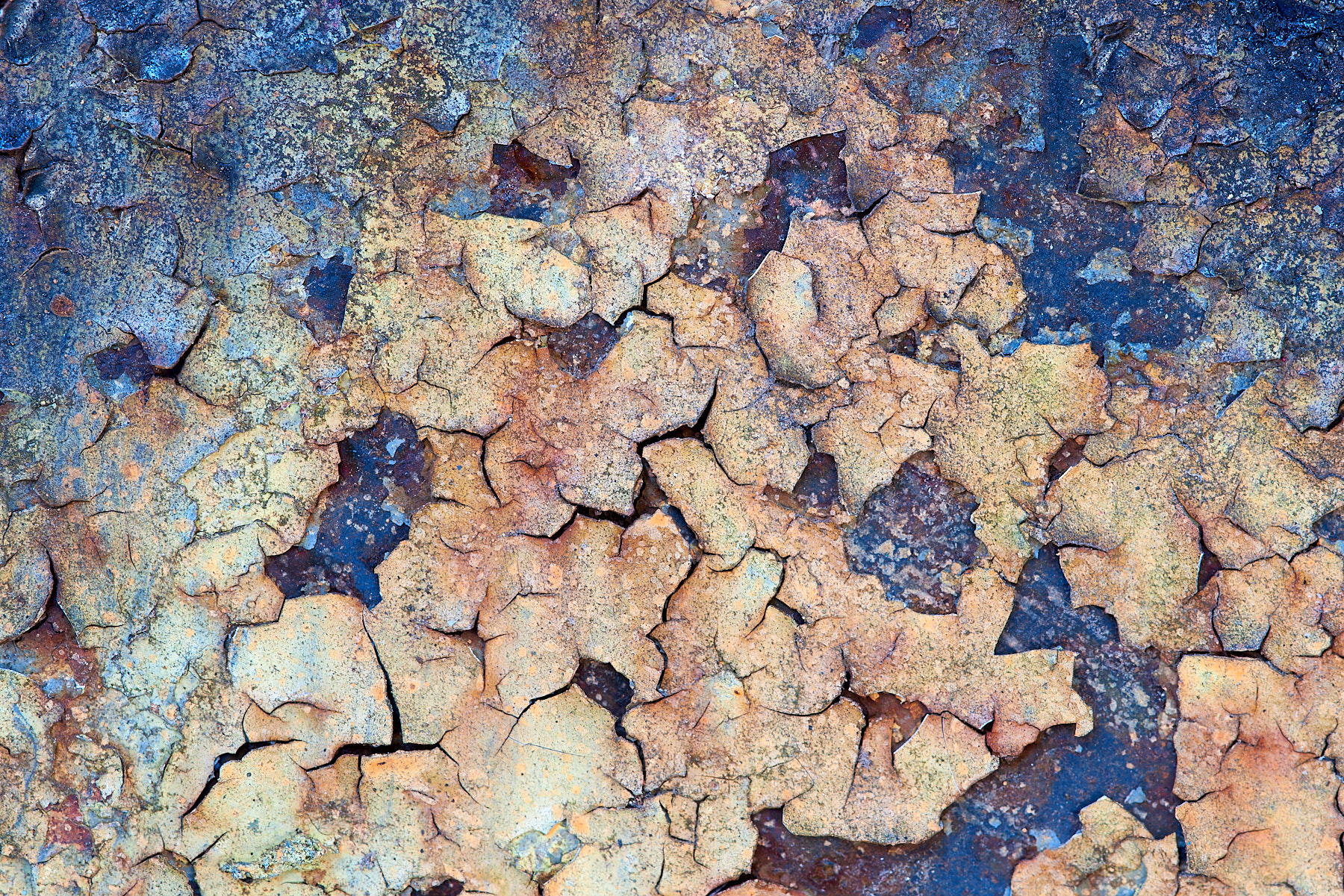 Abstract Color Photography